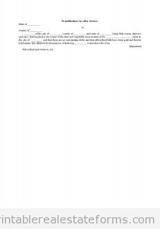 No Indebtedness by Seller of Store