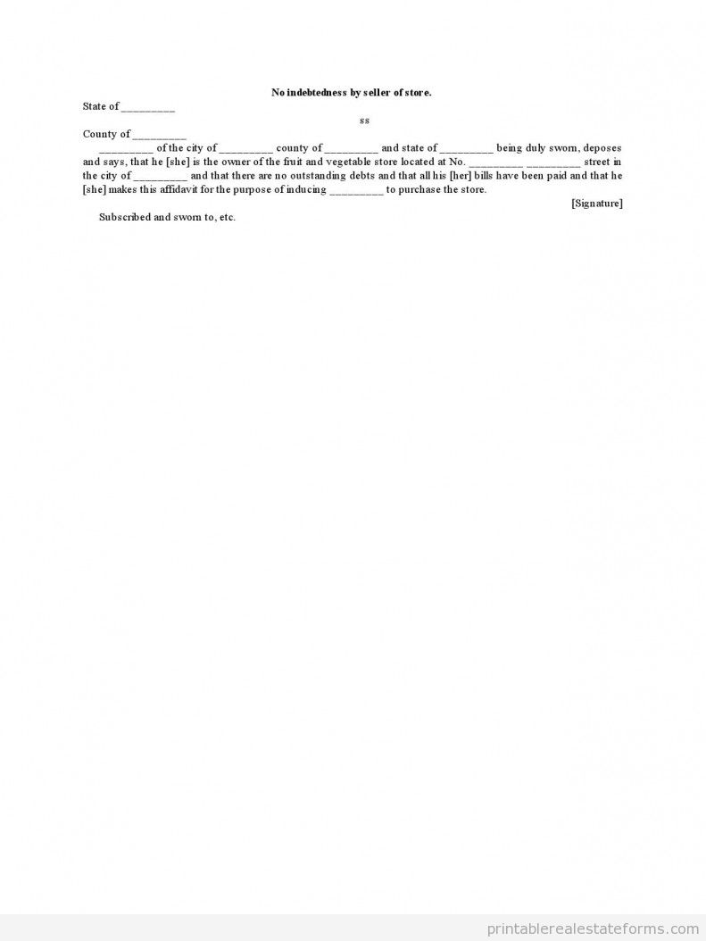 No Indebtedness by Seller of Store