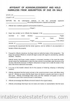CLOSING -- 0010 -- DISCLOSURE -- DUE ON SALE