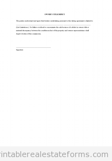 Owner's Title Defect