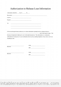 loan authorization