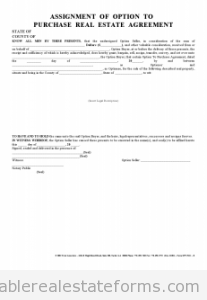 Assignment of Option Agreement