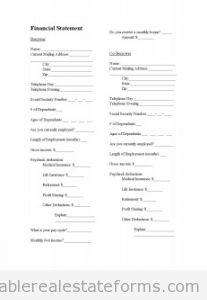 Financial Statement