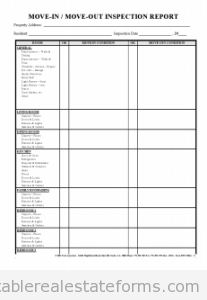 Move-In Move-Out Inspection Report
