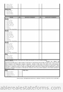 Move-In Move-Out Inspection Report