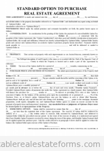 Option Agreement
